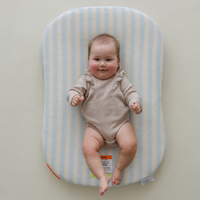 Infant Lounger Muslin Cover | Blue stripe