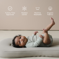 Infant Lounger Curve | Birch