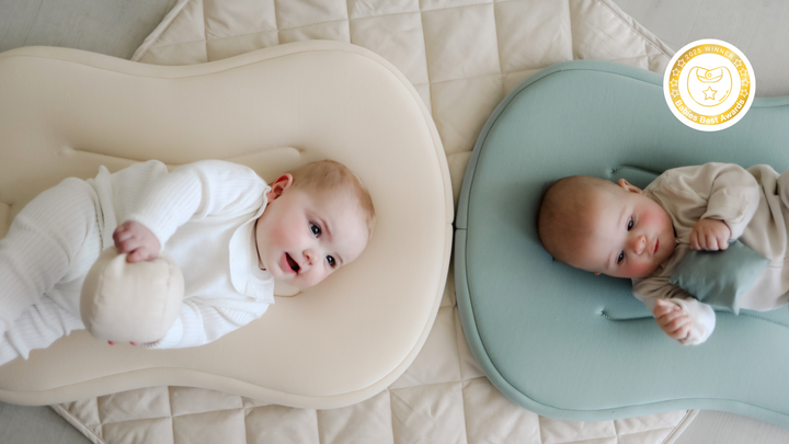 Infant Loungers - Snuggle Me Organic