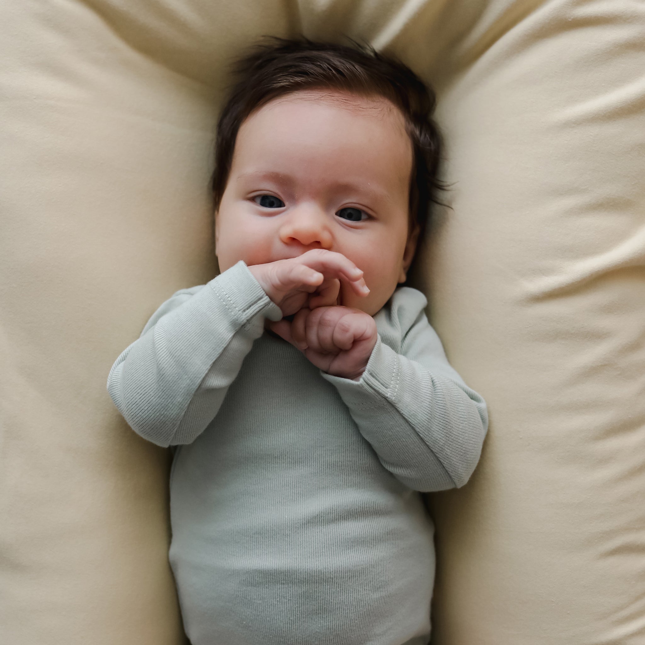 Infant Lounger + Cover Set [ natural ] / snugg