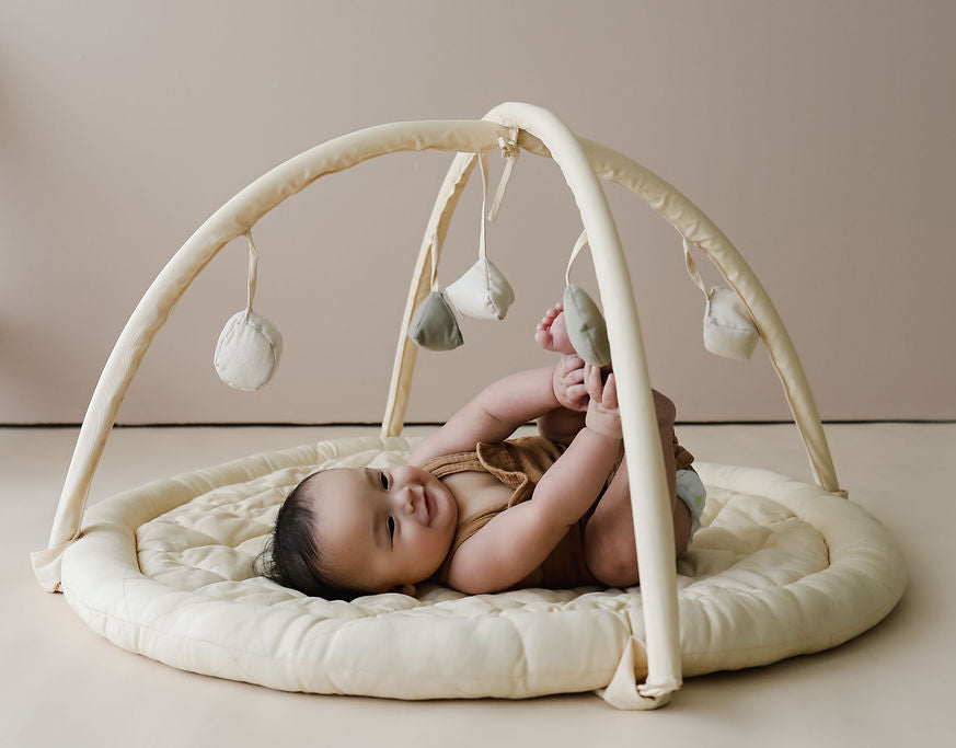 Play Gym – Snuggle Me Organic